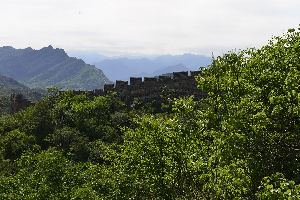 承德通达中等专业学校2021年招生条件 - 培养优秀中等职业教育人才