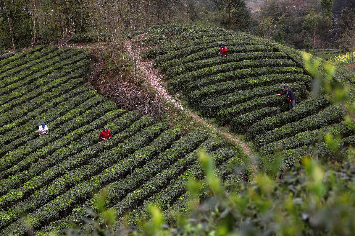 重庆市农业机械化学校入学须知毕业待遇
