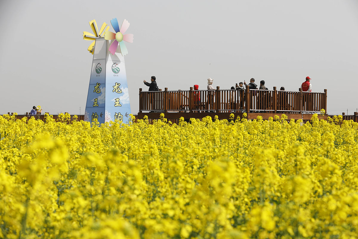 中国乡村管理法律法规大全:村民自治、土地承包、集体经济等 中国乡村管理法律法规大全:村民自治、土地承包、集体经济等