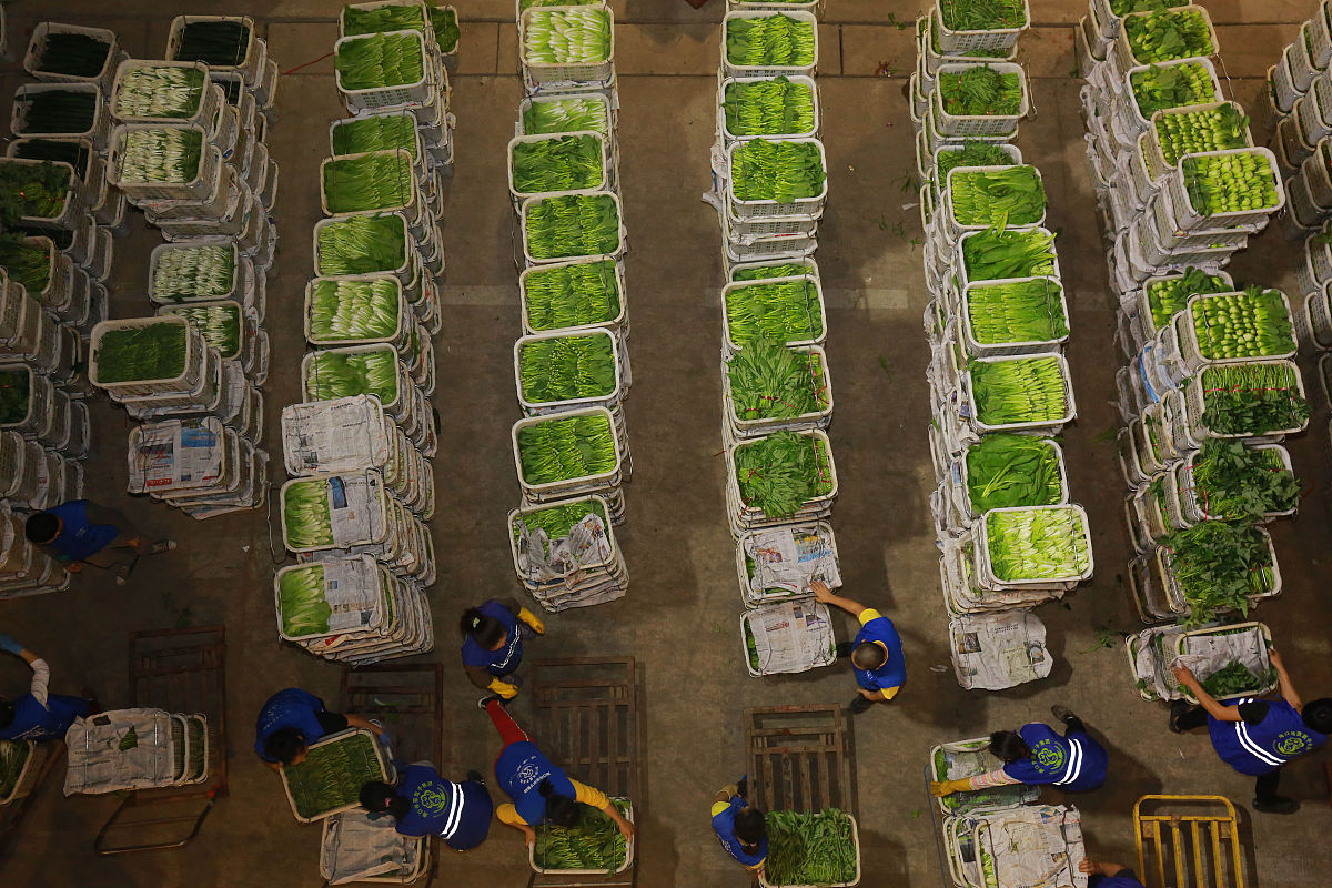 如何有效进行材料和设备的质量验收与退货处理？