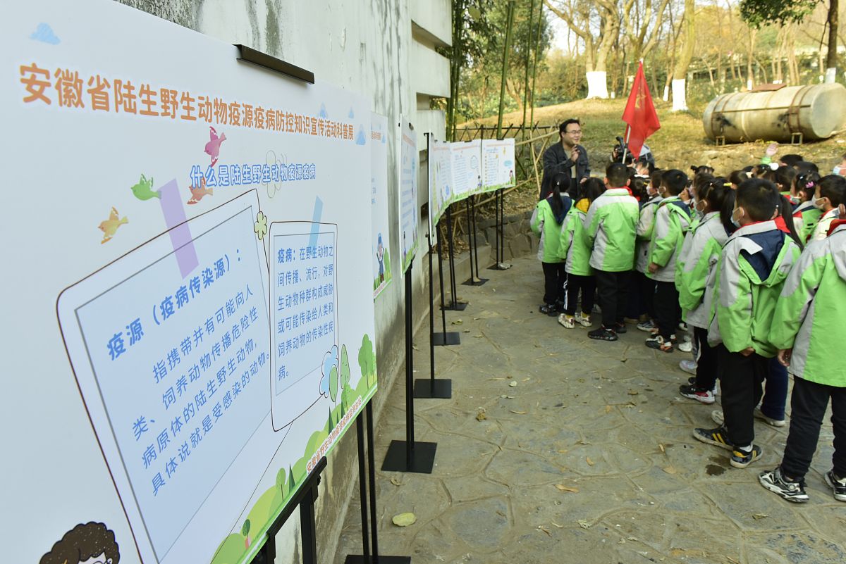 夯实学校育人主阵地 提高课后服务满意度——督查石牌镇小学双减工作案例