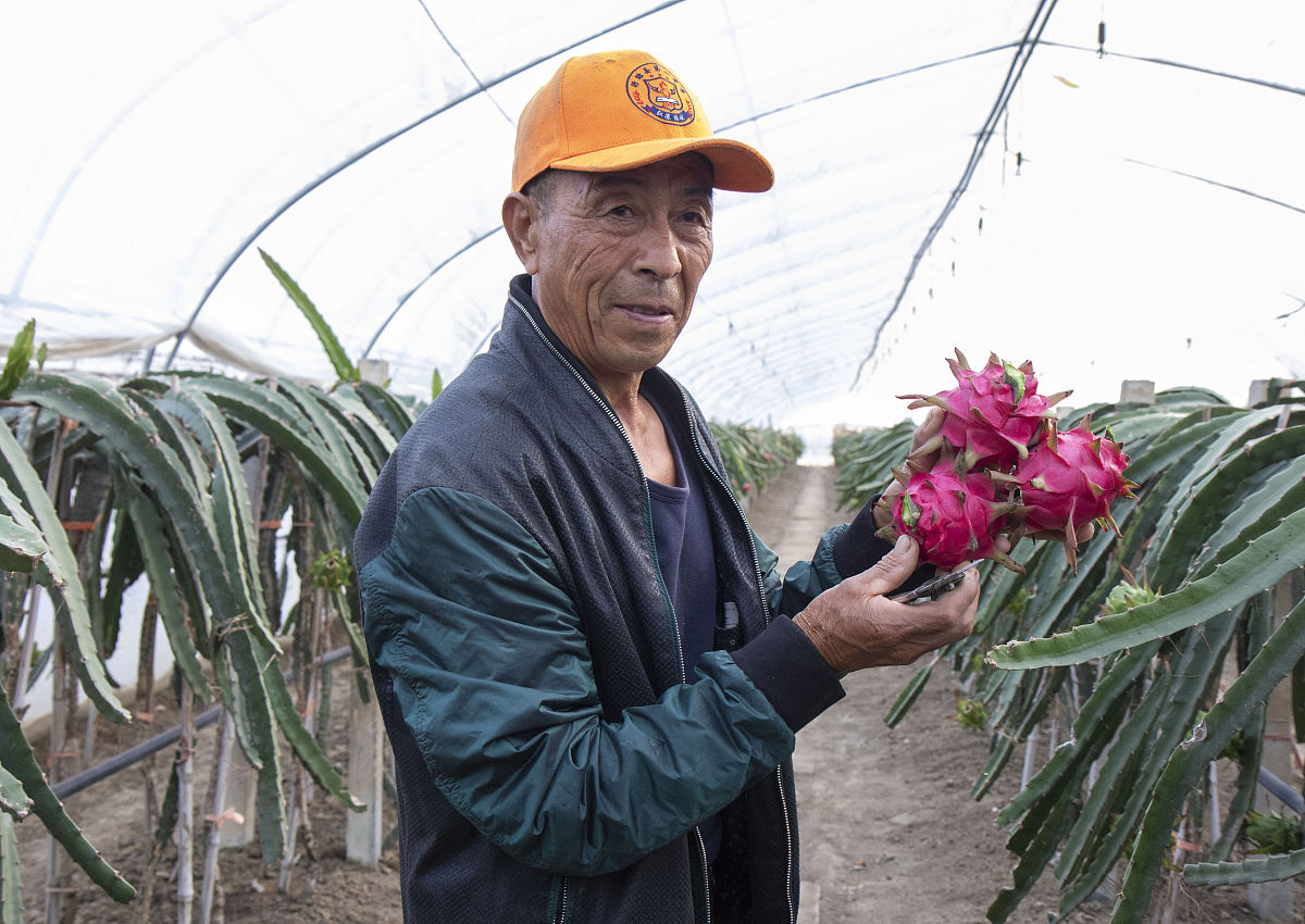 玉溪农业职业技术学院中草药栽培技术专业怎么样