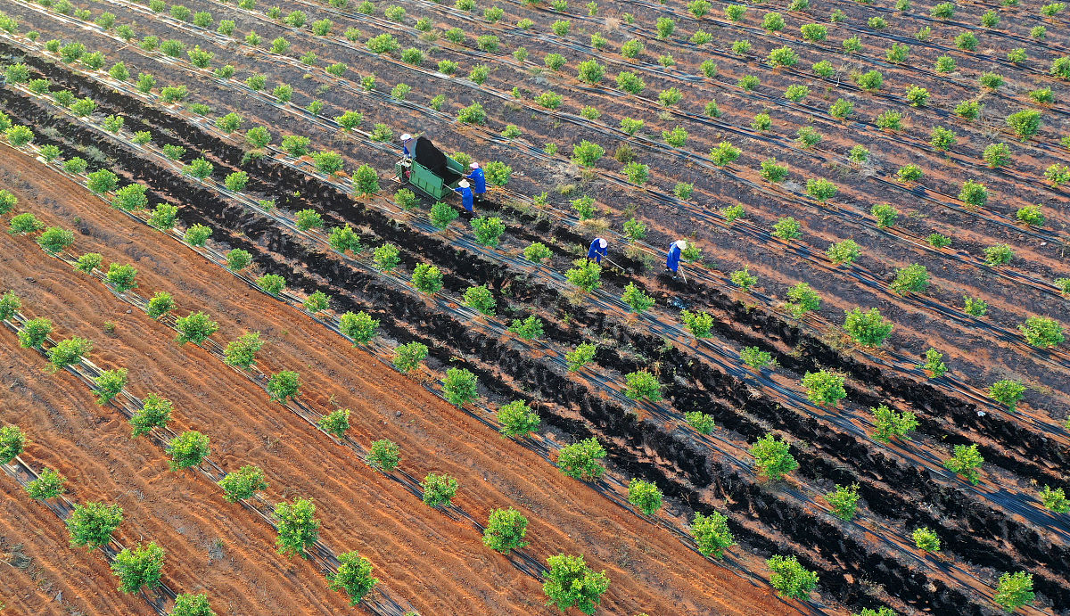 辽宁生态工程职业学院2022年森林资源保护专业怎么样？