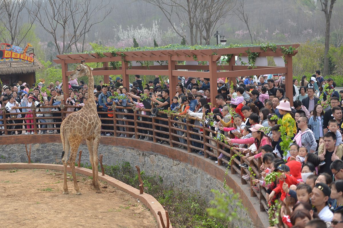 游客体验与景区吸引力：基于旅游文化的影响研究