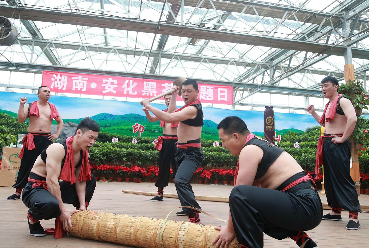 来30个有关华莱安化千两茶问题标题