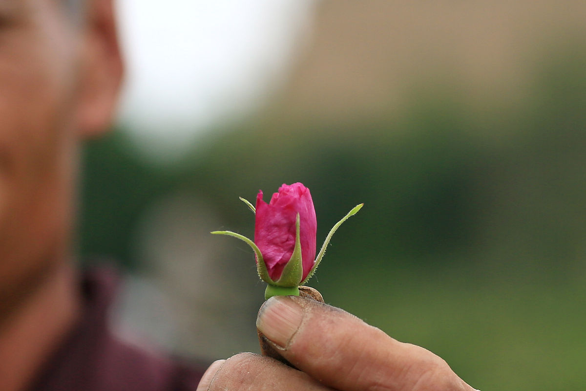 邢台卫校2022年招生-学历怎么样？哪些专业？