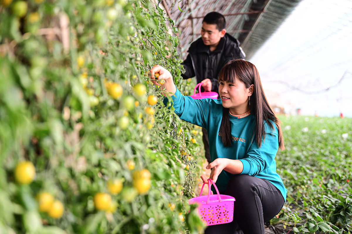 助力农民致富，品尝美味农产品！