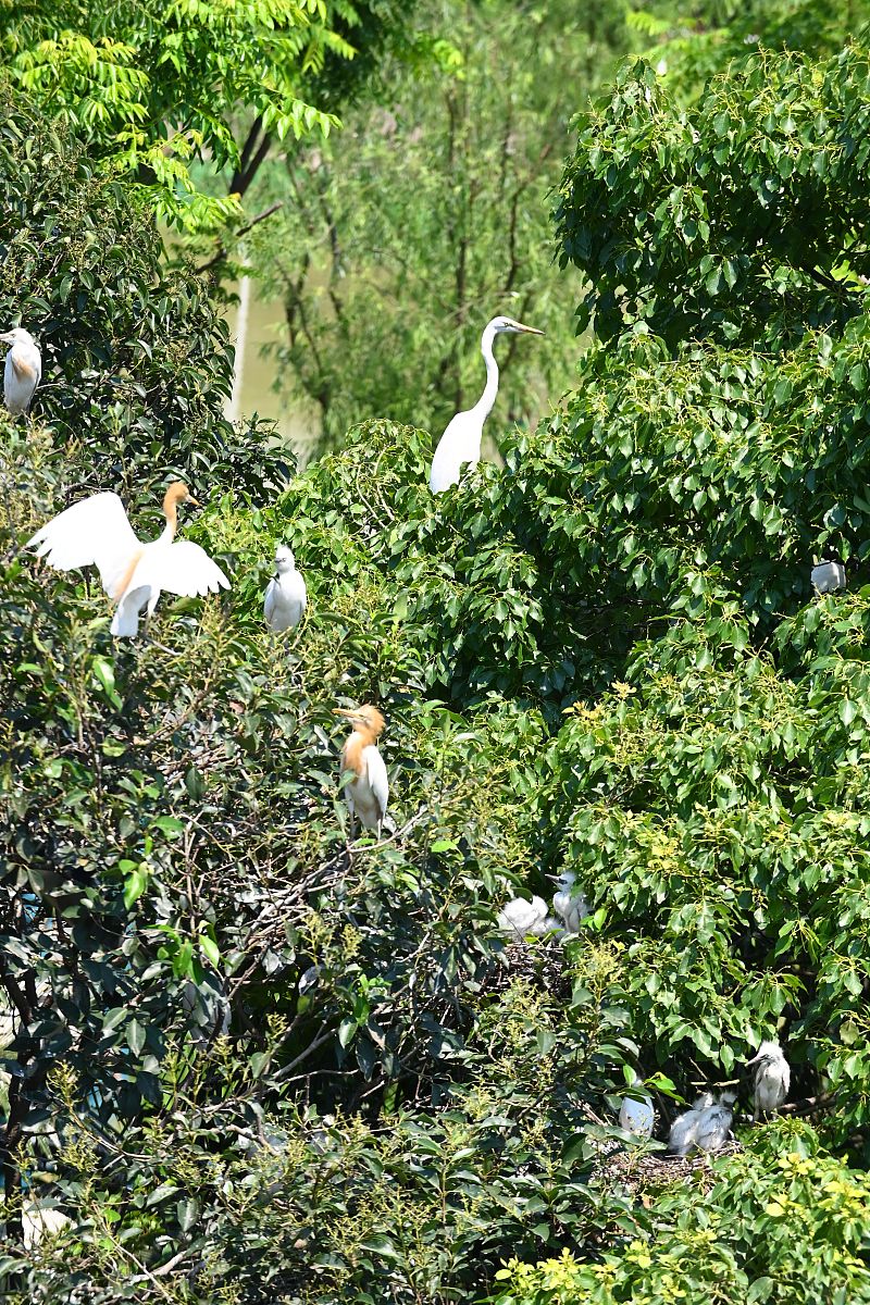 镇海职教中心2021年招生条件：入学要求与综合素质评估