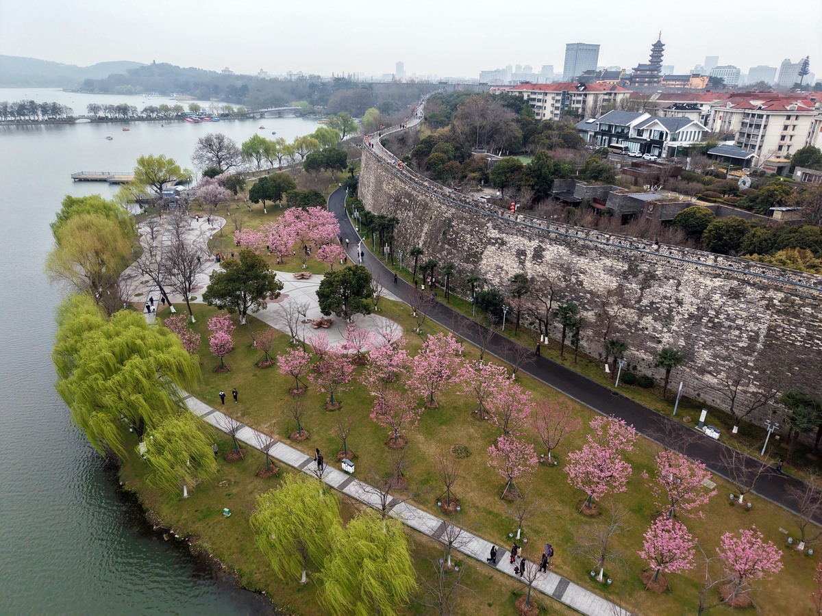 2026年3月15日,江苏南京,玄武湖玄武门至樱花大道沿线