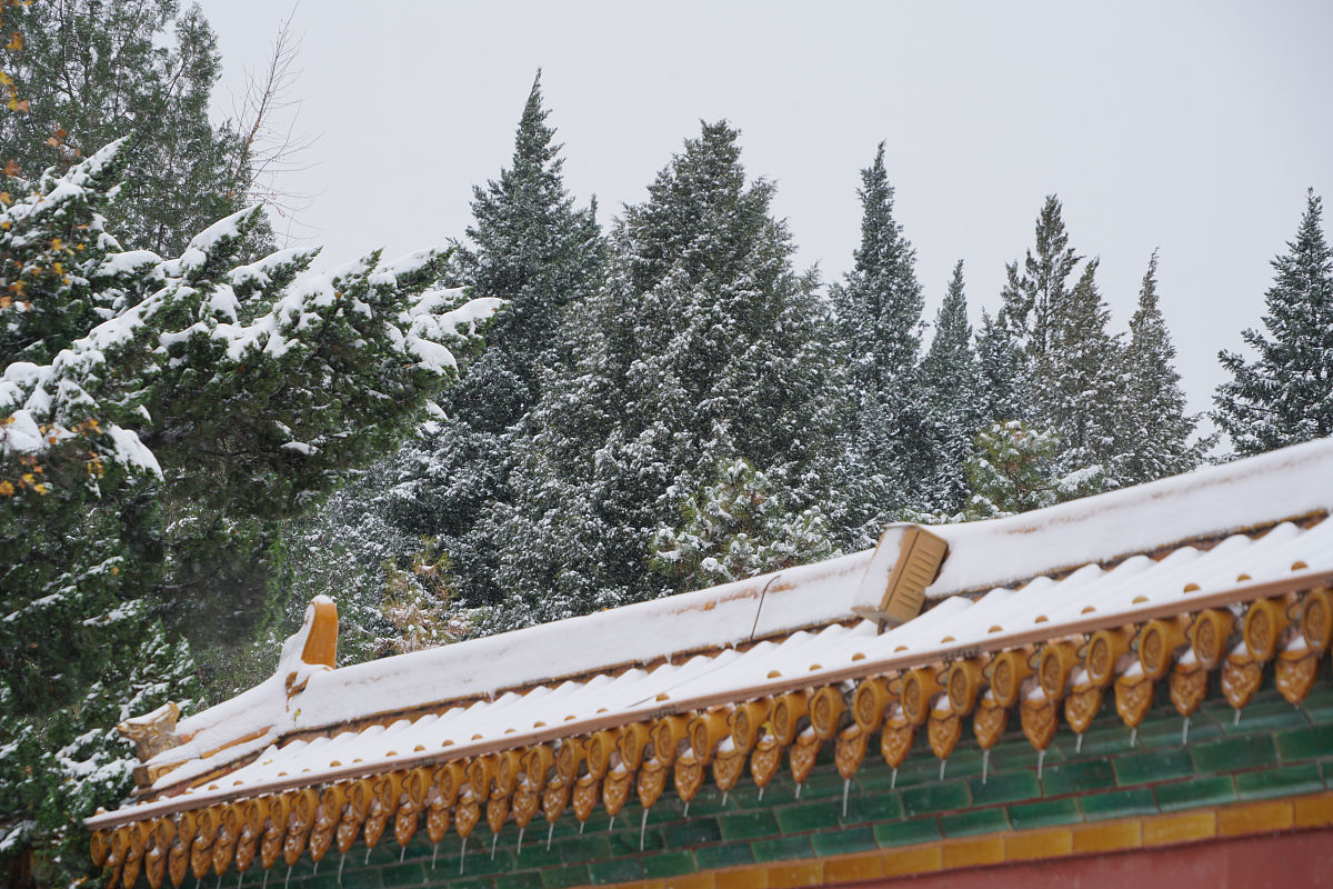 2021年11月7日,北京迎来初雪,实拍故宫雪景.