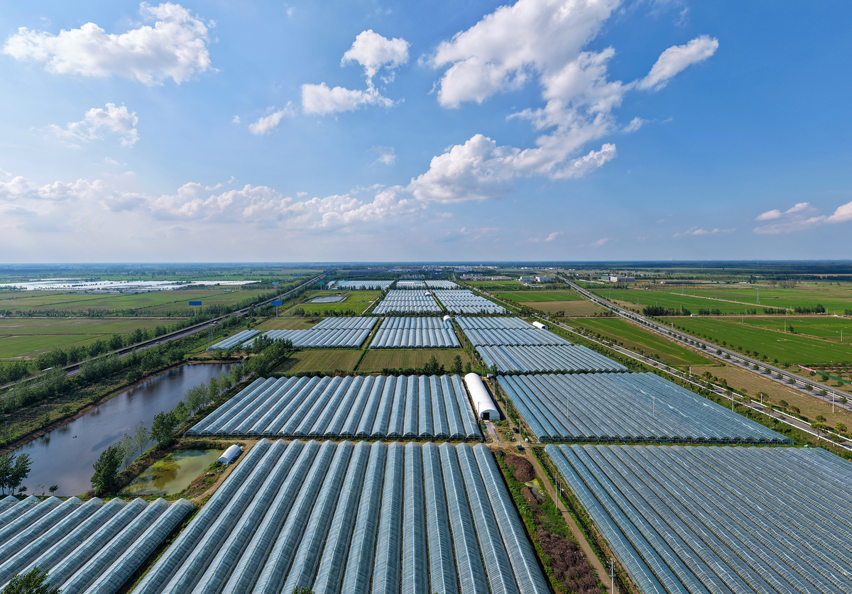 齐河县：经济发展与净零碳排放政策双赢之路