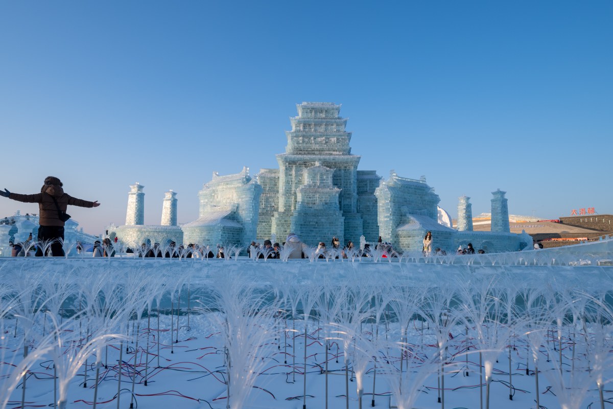 哈尔滨,一个因冰雪而火热的城市,近期成为了旅游界的焦点