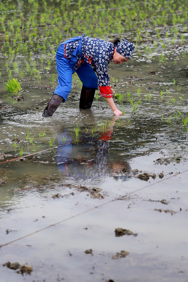 爸爸的童年趣事 写一篇300字小学作文