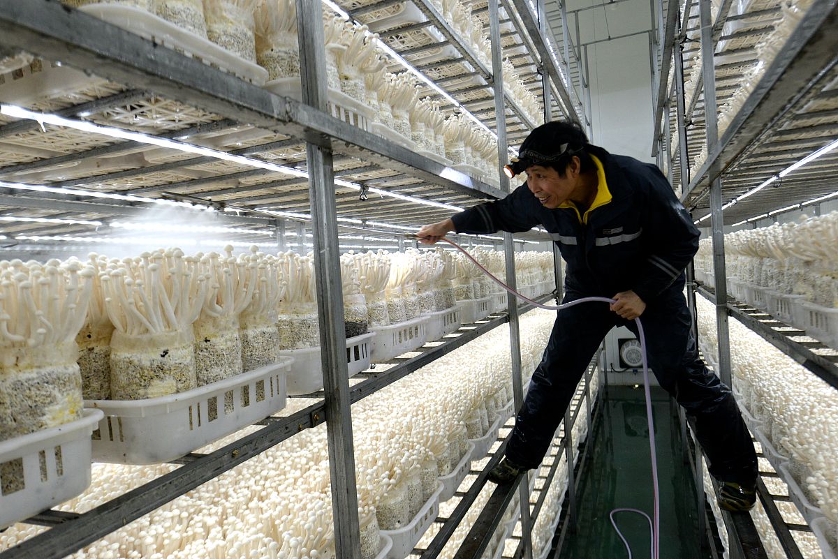 汉江科技学校工程施工与监理专业怎么样？这个专业如何？