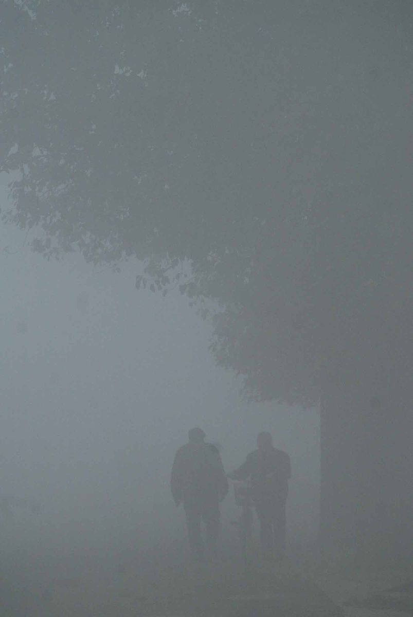 主导能见度1155米应记录为多少？