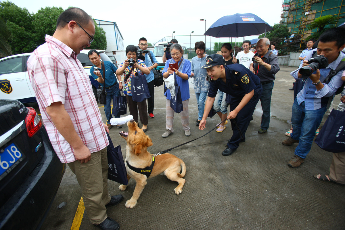 以培养宠物的基本听从和行为指令为题写一篇1200文章