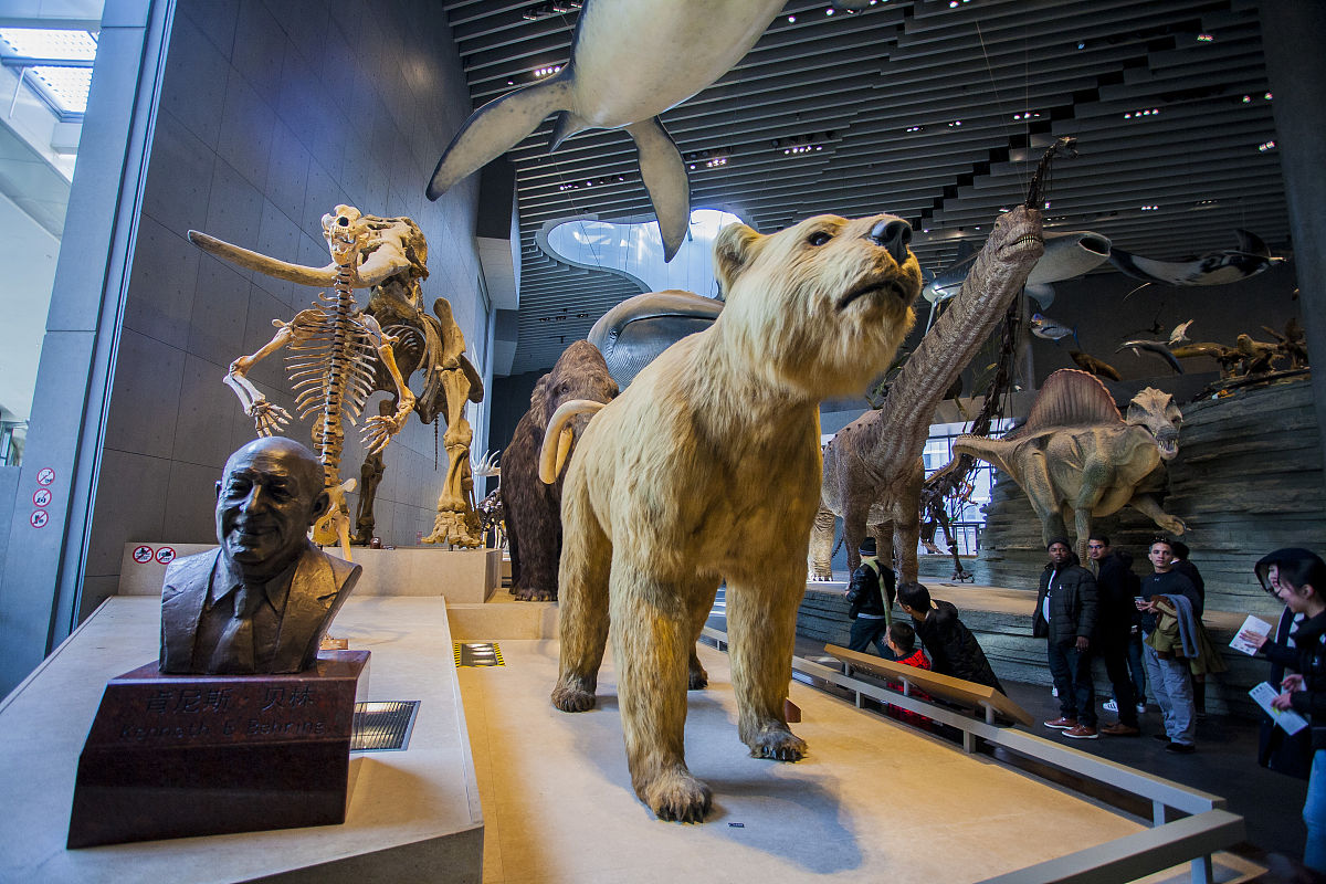 写一篇参观动植物标本博物馆的新闻稿