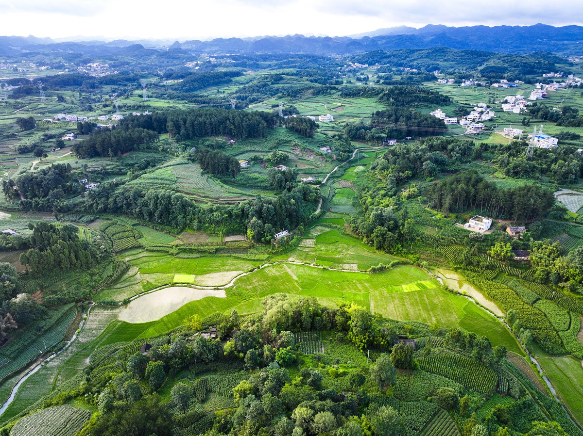 对下面的文章进行修改贵州省毕节市黔西县国家储备林项目二期一基本情况本项目建设总规模49968万亩共涉及到12个乡镇其中：集约用材林栽培35968万亩中幼林抚育07000万亩经济林07000万亩苗圃基地174亩和灌溉排水系统设施02万亩。项目计算期25年其中建设期5年生产运营期20年。项目总投资3716103万元其中建设投资3300386万元建设期利息415717万元。二项目进展情况截止目前该项目完