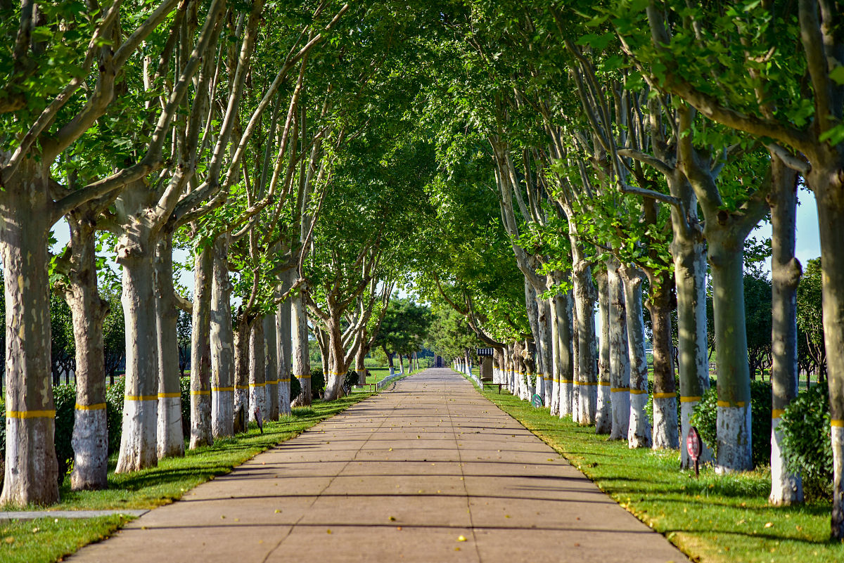 chatgptHello! How may I assist you today高学段小学生教学应用意识的现状及培养策略论文1w字-以西安为例