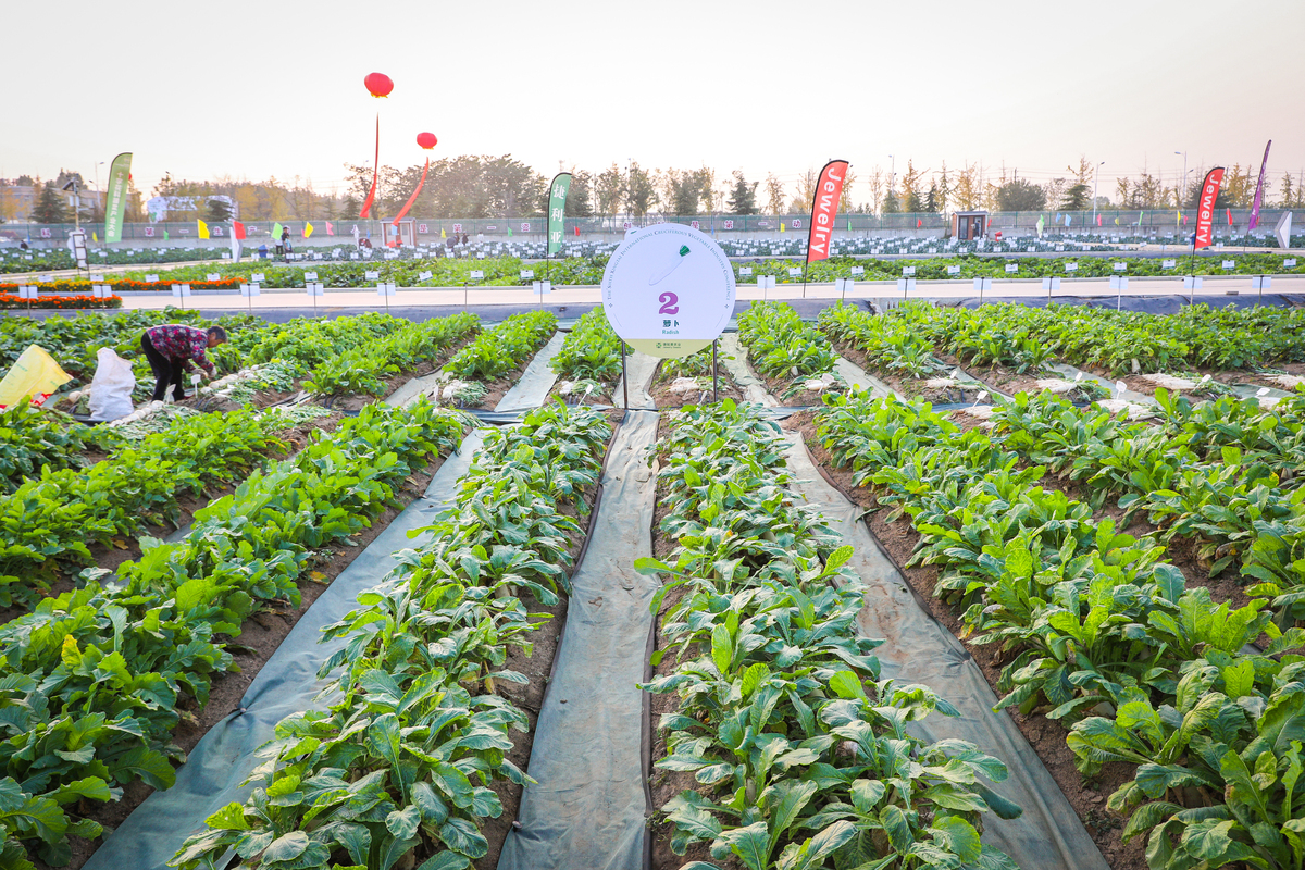 观光农业专科就业前景好不好？