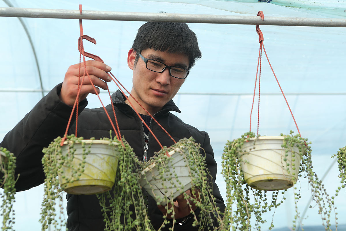 福建林业职业技术学院林业技术专业就业方向有哪些