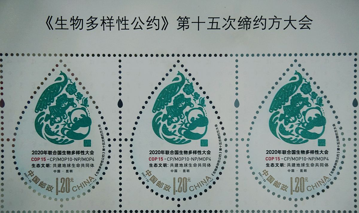 2021年10月11日,在杭州拍摄到的《 生物多样性<strong>公约</strong>>第十五次缔约方