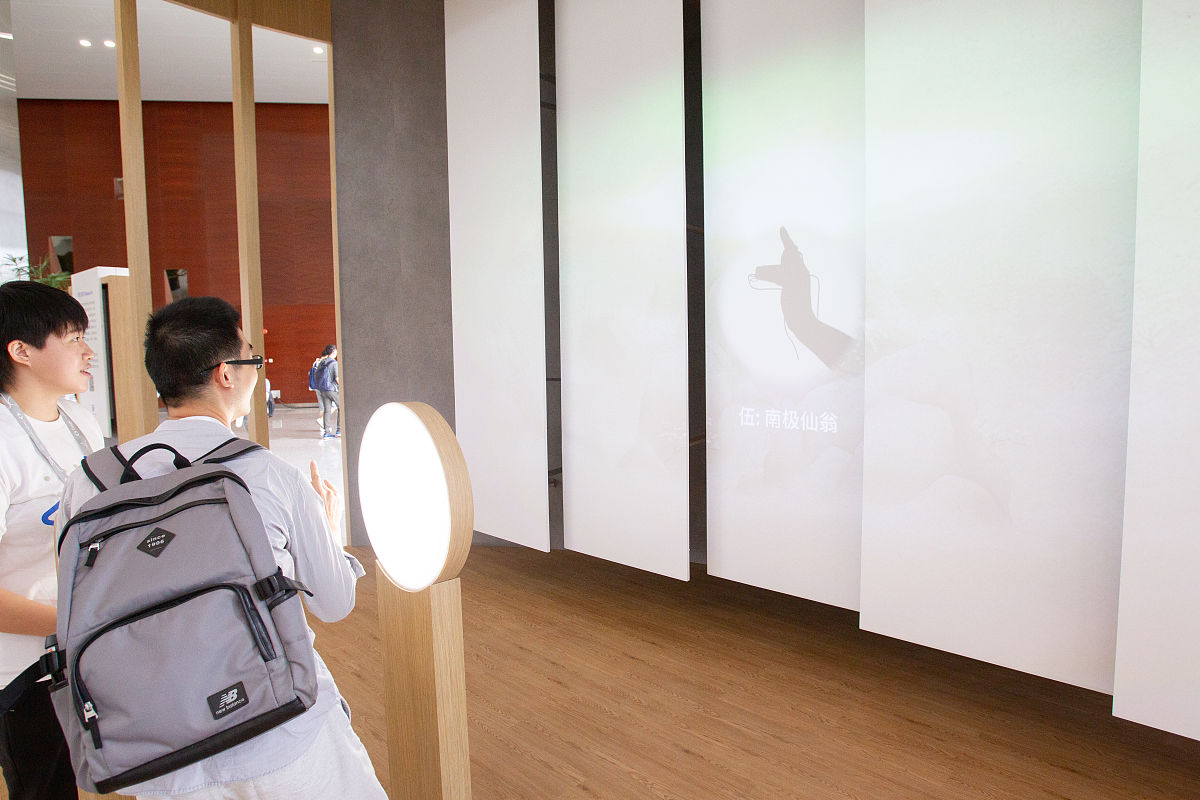 猫狗图像分类：TensorFlow模型训练与优化