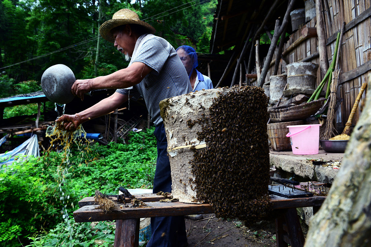 送蜂箱种花椒，助乡村老人增收，扶留守儿童上学