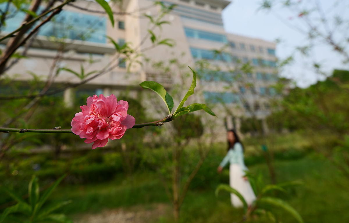 广西科技大学国际经济与贸易专业如何好学吗
