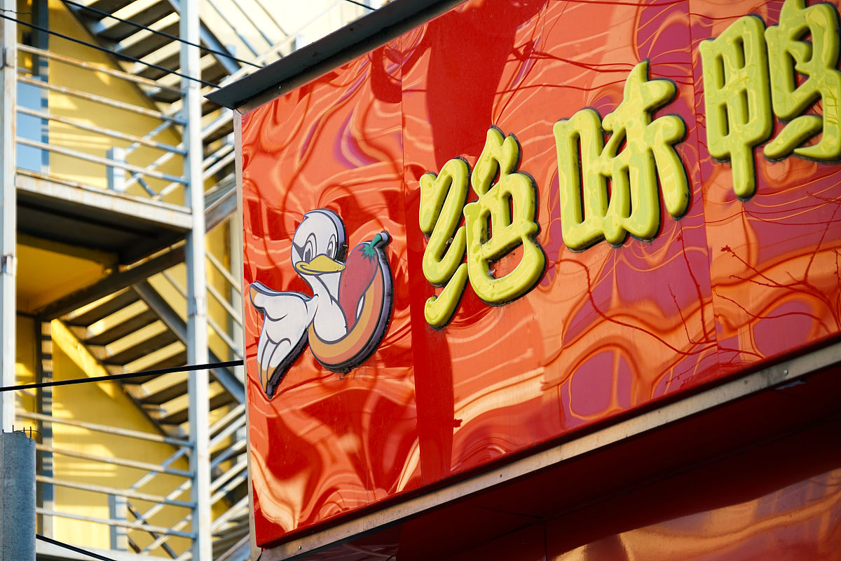 鸭脖店的文化符号与年轻人的消费选择写一篇社会实践心得