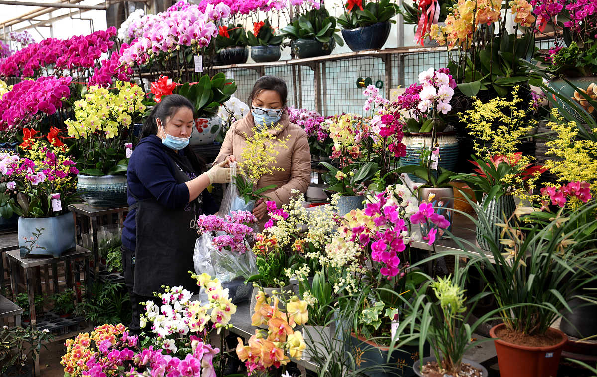 陕西省石油化工学校2021年招生简章 - 专业高等职业教育