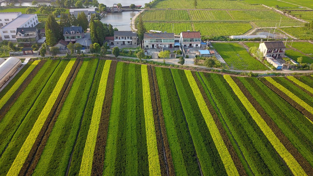 浙江富裕，为何还要乡村振兴？