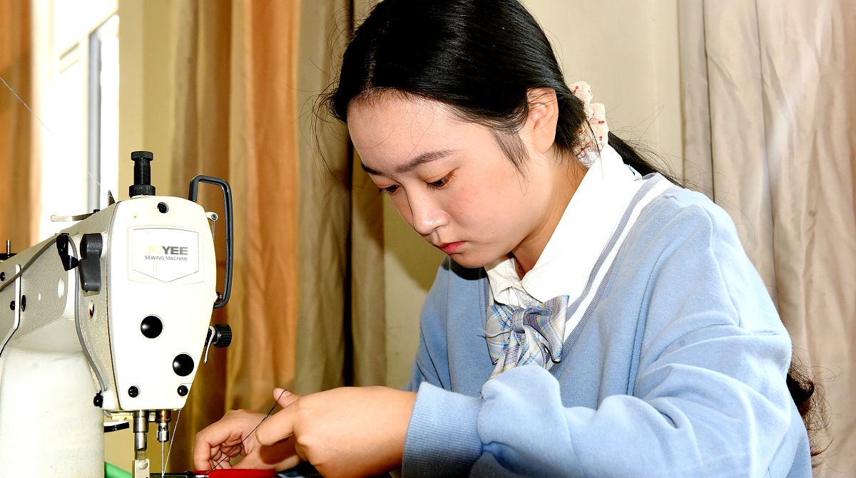 仪征技师学院 - 专业设置、教学质量及学生发展