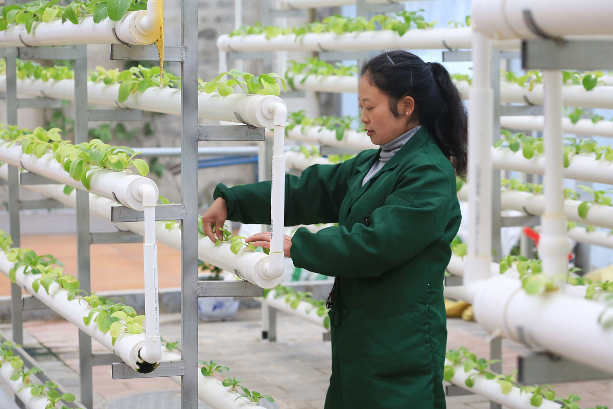 湖南异地网上补办受理未通过怎么办