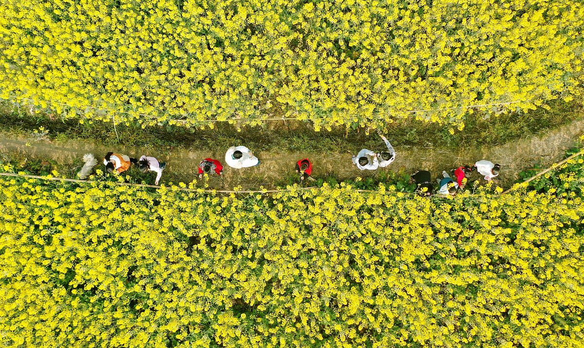 2018眉山职业中学排名：选学校指南