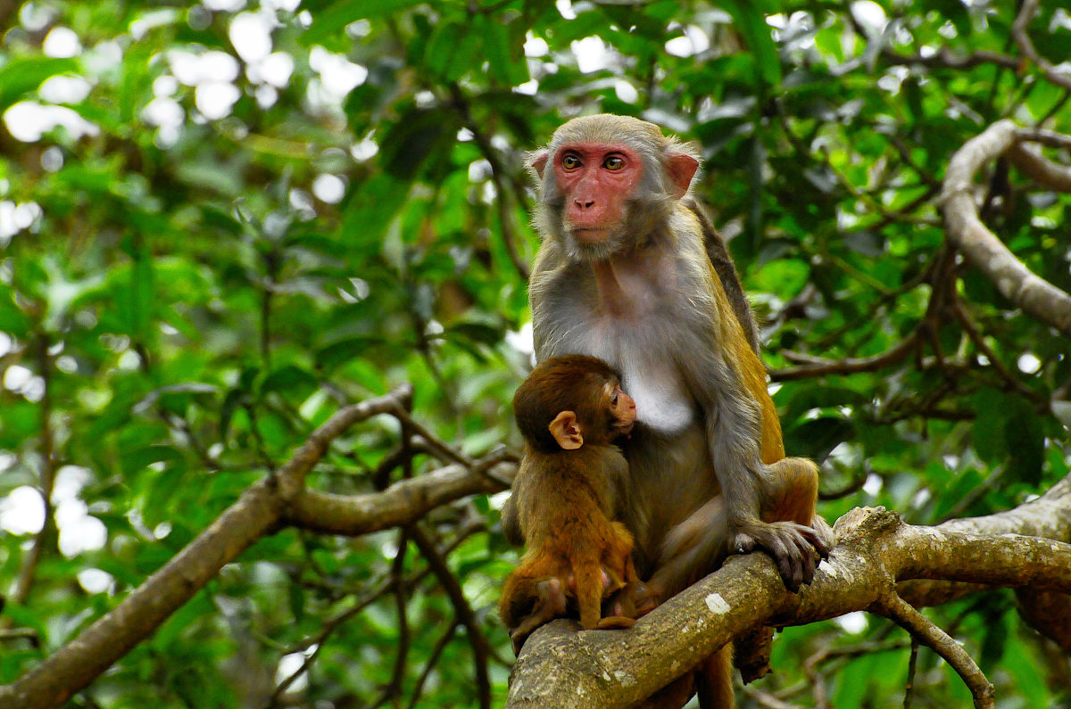 四川水利职业技术学院五年制大专水产养殖技术专业好不好会涉及哪些课程；：：；；第三件事输入分隔符###################