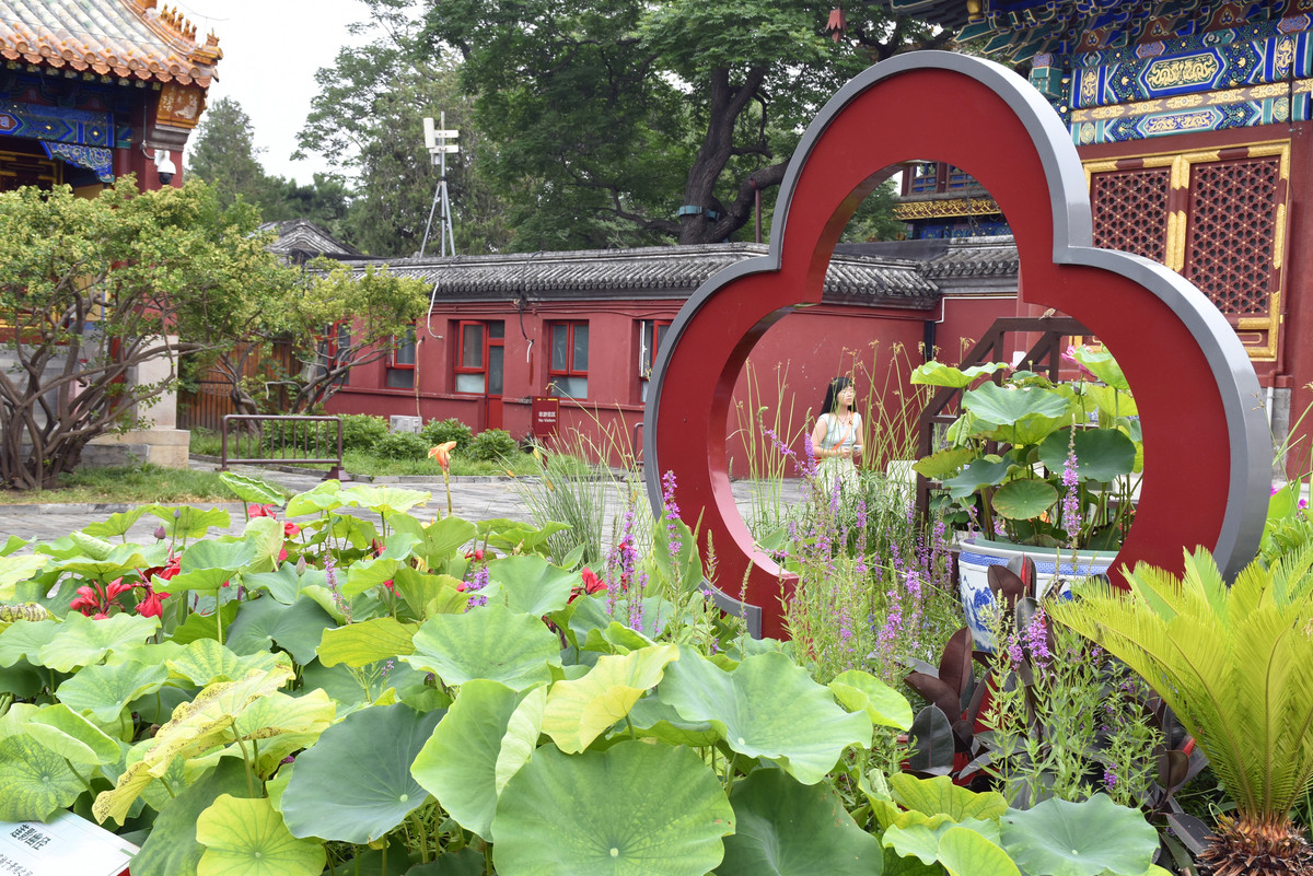 中国园林文化内涵：从古代皇家园林到现代城市公园