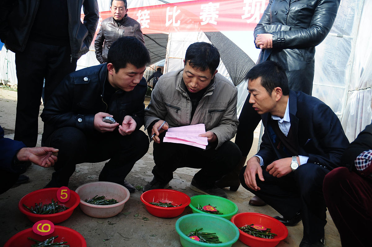 运城老百姓遇到困难如何向媒体求助？