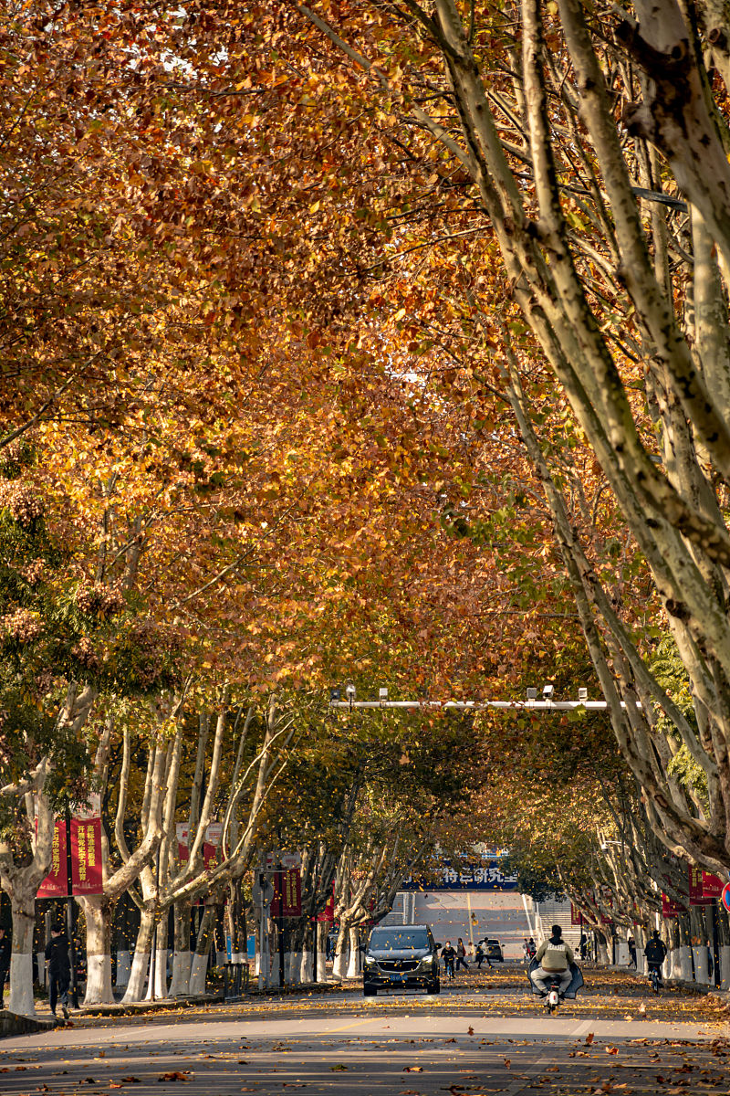 云南商务信息工程学校2022年三年制中专招生简章 - 【官网】