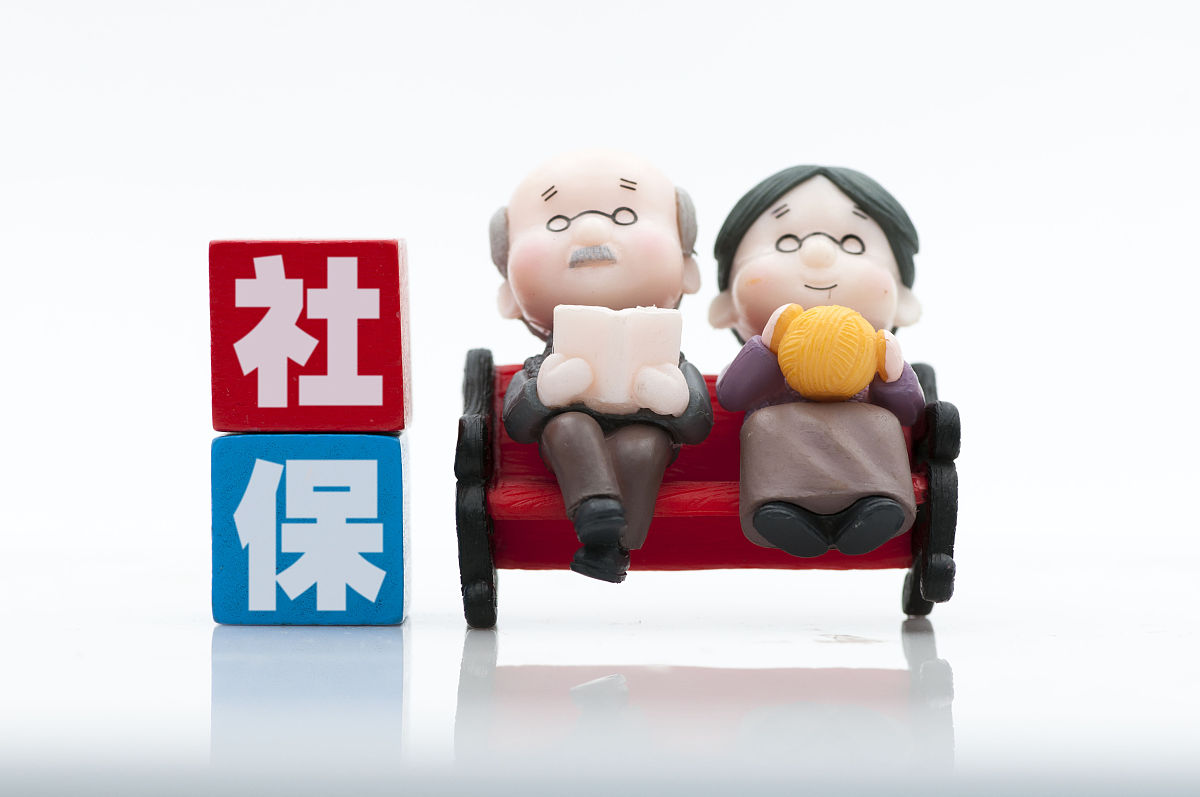 社保申报流程指南：详细步骤及注意事项