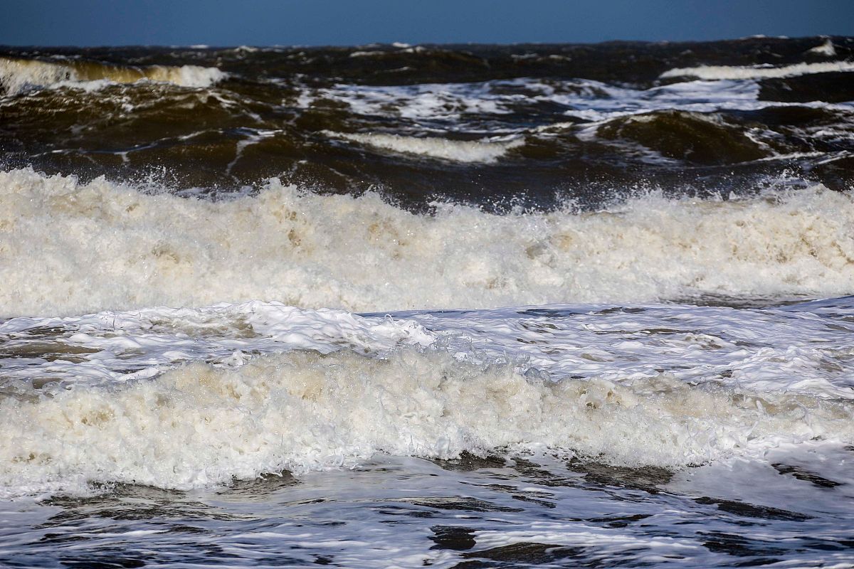 威海旅游学校2022年招生简章好不好