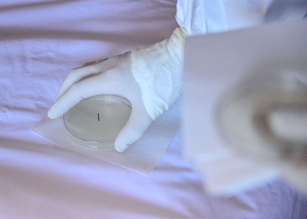 沈阳职业技术学院广告设计与制作专业怎么样