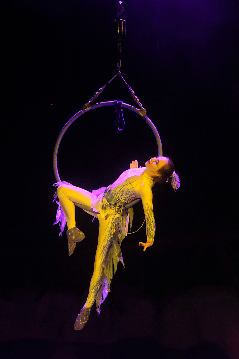 从指标全面性不足、单个案例区域影响结论的可推广性阐述河源市生态环境执法效果评价研究的研究不足500字