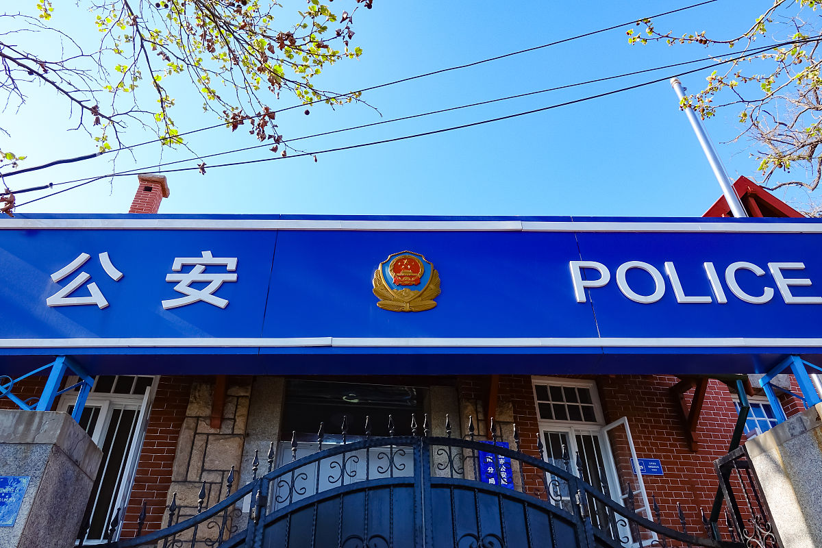 南开区派出所 用210字帮我描述
