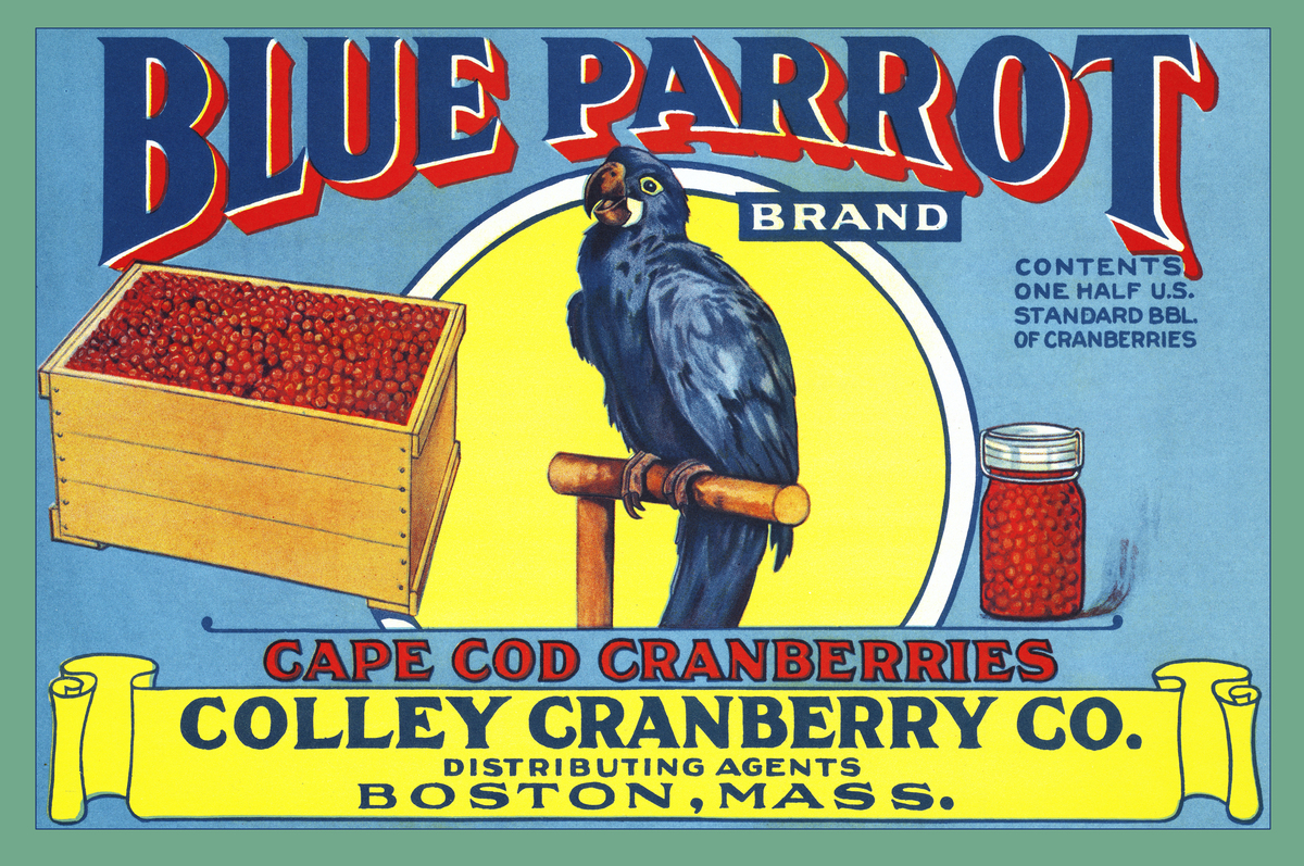 Hook your reader by talking about the importance of TKAM in modern American Literature and how it helped America with a big problem Racial Injustice Maybe talk about Harper Lee winning a prize but th