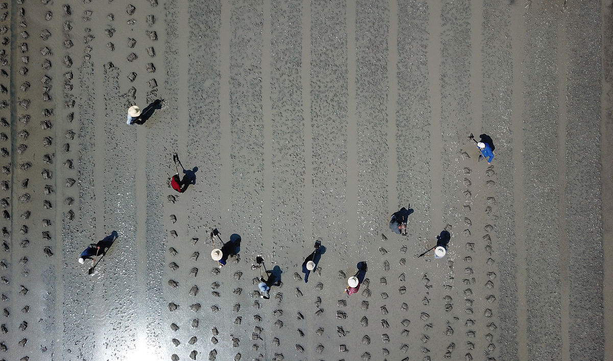 扬州生活科技学校2022年招生简章 - 报名条件及流程