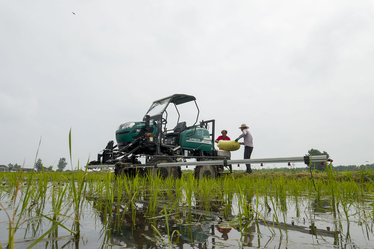 现在施一斤化肥能增产多少粮食