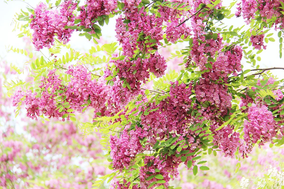 定西职业中等专业学校2021年招生简章 - 培养实用技能人才