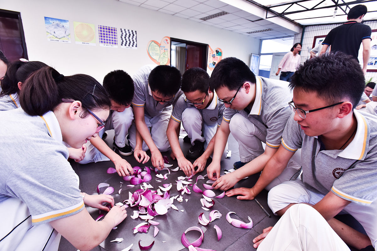 大学生小组形式创新实践大作业：基于**项目名称**的创新实践