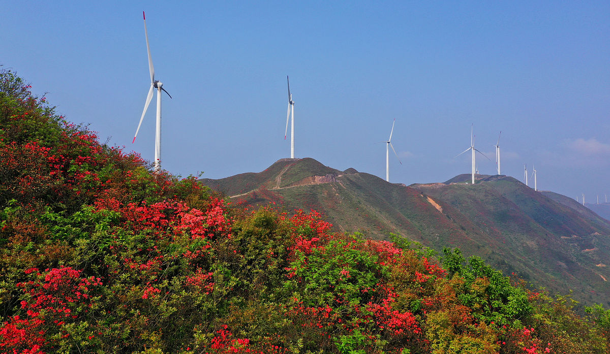 竞聘养护站副站长：陈汉霖的履历与规划